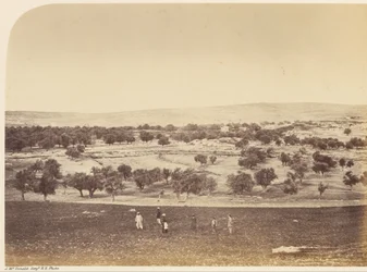 Panoramisch Uitzicht op de Stad - Algemeen Uitzicht op de Stad vanuit het Noorden